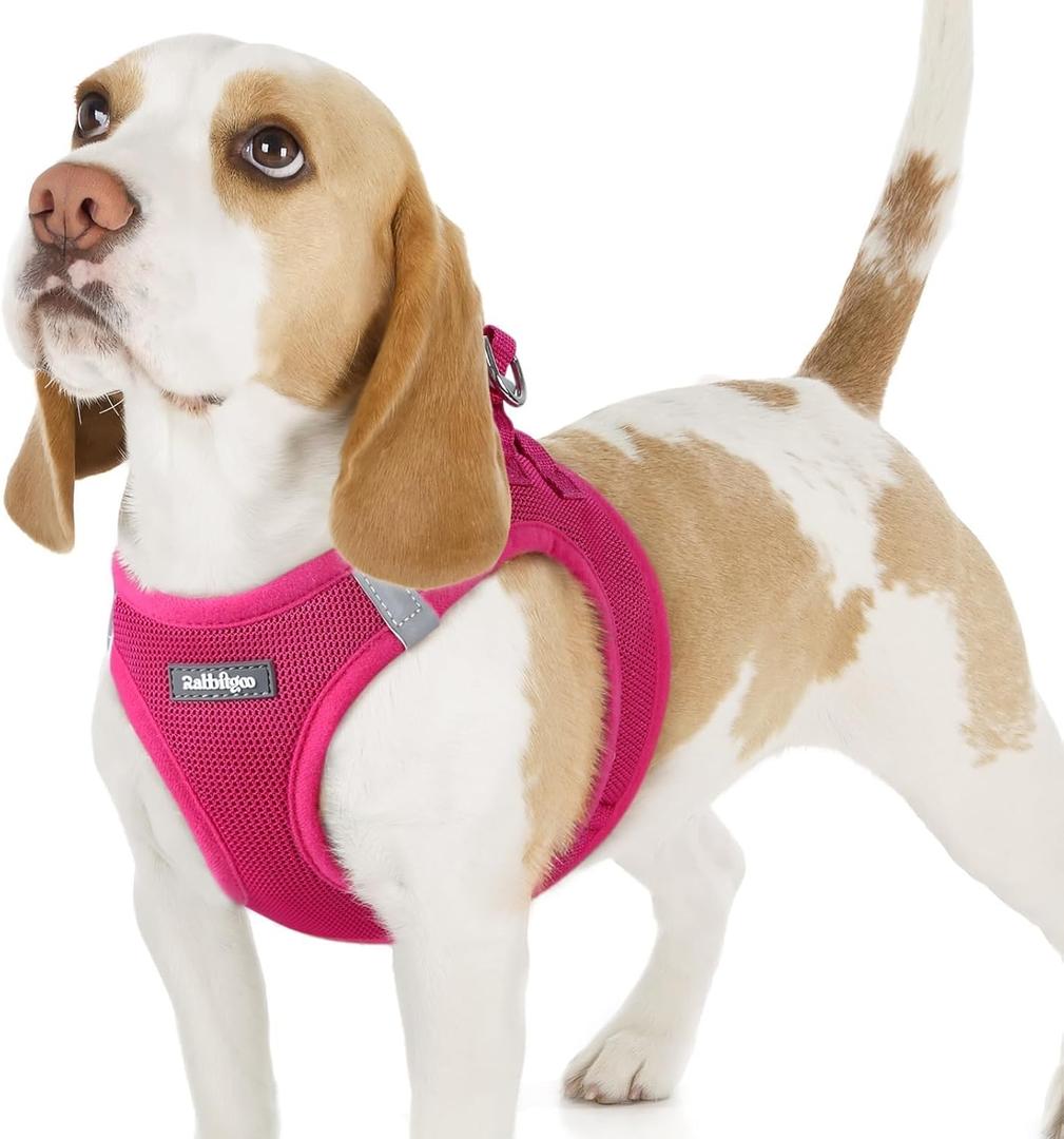 rabbitgoo Small Dog Harness, Step-in Soft Mesh Puppy Vest with Safety Buckle, Breathable Reflective Pet Harness for Small Sized Dogs, Rose Red M (M(Chest:16.0"-18.5"))