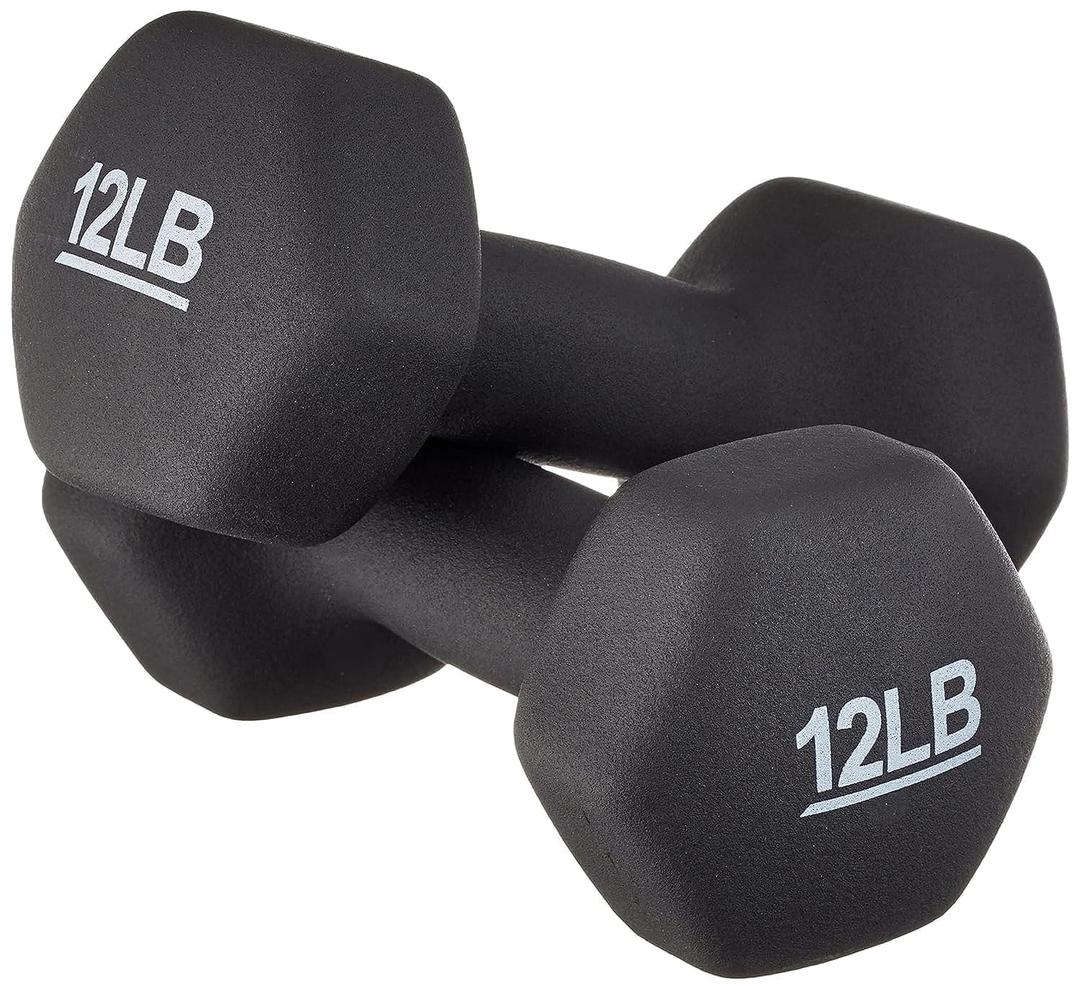 PAIR OF GENERIC 12LB WEIGHTS BLACK RUBBER COATED
