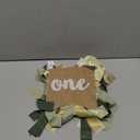 Buryeah 2 Pcs Safari Twins Highchair Banner for 1st Wild Birthday Twin Baby Shower Decorations Twins 1st Jungle Theme Birthday Party Cake Smash Photo Props Woodland Decorations(Fox Wild Style)