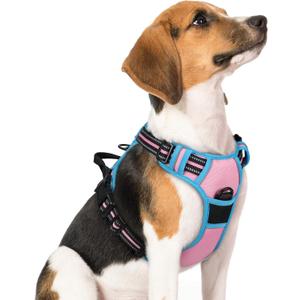 rabbitgoo Dog Harness No Pull with 2 Leash Clips, Adjustable Soft Padded, Reflective Oxford No Choke Pet Vest with Easy Control Handle for Medium Sized Dogs, Pink & Blue, Size M