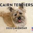 Cairn Terrier Calendar 2026 Wall 12 Month Monthly Cairn Terriers Gifts For Cairn Terrier Lovers Women Men Mom Dad | American Made In The USA