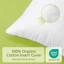 Ashler Throw Pillow Inserts (Pack of 4, White), 26 x 26 Inches Pillow Inserts with 100% Cotton Cover, Indoor Decorative Pillows Inserts for Couch Sofa and Bed