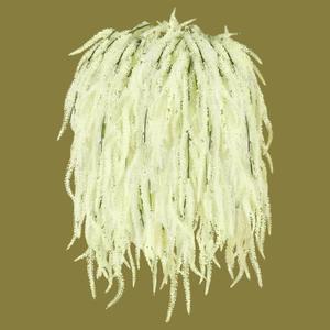 Suncalla 12 Pcs Amaranthus Artificial Flower Faux Amaranthus Hanging Plants Dried Preserved Bleached Wisteria for Wedding DIY Bouquet Garlands Floral Arrangement Home Wall Decor (Beige,24 Inch)