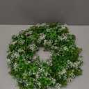 St Patricks Day Decorations Artificial Wreath Lucky Shamrock Clover Leprechaun Hat Beers Spring Summer Party Decor Outdoor/Indoor Farmhouse Front Porch Wall Window Door (Green)