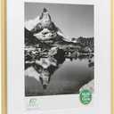 FrameWorks 16x20 Matted to 11x14 Picture Frame Aluminum Frame w/Tempered Glass, Removable Mat for Photos, Posters, Art, Stylish Wall Frame for Home Decor, Gallery Walls, Office, Living Room - Gold