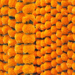 Marigold Garland for Decoration 4.8 feet Long Strands Artificial Marigold Flowers, Indian Dcor for Pooja, Wedding Christmas, Events (Orange + Green, 5) Marigold Garland for Decoration 4.8 feet Long Strands Artificial Marigold Flowers, Indian Dcor for Pooja, Wedding Christmas, Events (Orange + Green, 5)