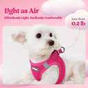 rabbitgoo Dog Harness and Leash Set, Step in Soft Light Puppy Vest, Breathable Mesh Pet Harness, Reflective for Safe Easy Walking, Rosa Red XL