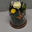 NOVEINN Preserved Flowers in Glass Dome - Eternal Rose Arrangement with Real Preserved Plants, Romantic Forever Rose Gift for Women - Anniversary, Birthday, Mothers Day, Home Decor(Yellow)