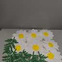12PCS Crepe Paper Daisy Flower Decor Large White Paper Daisy Flowers for Backdrop Party Paper Tissue Pom Poms for Home Decor, Wedding Backdrops, Baby Shower, Birthday Party, Classroom Decoration
