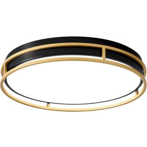 Modern Flush Mount Ceiling Light, 5CCT 2700 K-6000 K Dimmable Black and Gold Ceiling Lighting Fixture, Minimalist Round LED Ceiling Lamp for Bedroom, Kitchen, Hallway, Living Room-16.5 Inch (16.5in)