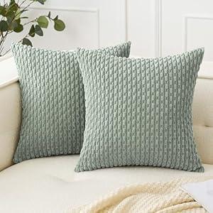 Woaboy Blue Throw Pillow Covers 18x18 Inch Set of 2 Decorative Couch Pillow Covers Farmhouse Soft Corduroy Boho Home Decors for Winter Spring Cushion Bed Sofa Living Room
