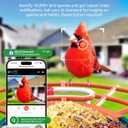 Smart Bird Feeder with Camera Solar Powered - 2.5K 4MP Birds Feeder Camera for Outdoors Garden with AI Identify, Squirrel Proof, Rechargeable Battery WiFi Video Bird Feeder Cam, Gift for Birds Lover