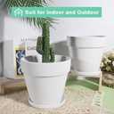 Vensovo 6 Inch White Terracotta & Clay Pots for Plant with Saucer - 4 Pack Medium Terra Cotta Planter with Drainage Hole, Flowerpot for Indoor Outdoor Plants, Crafts, Wedding Favor