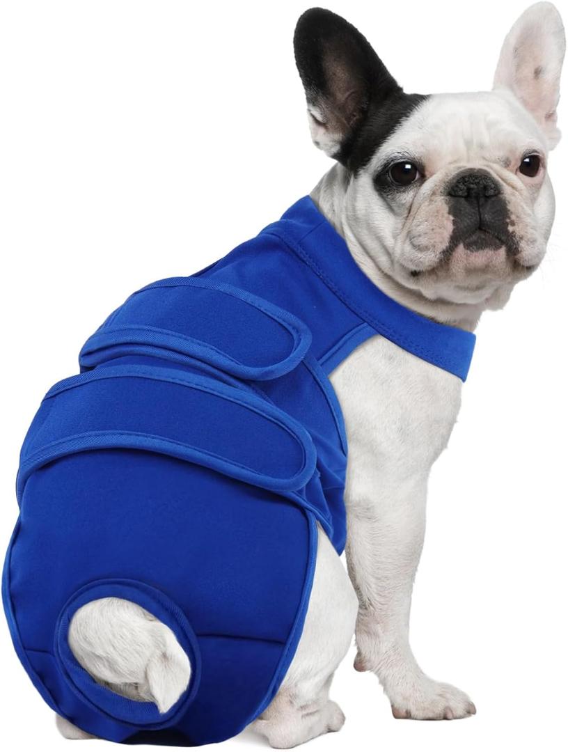 Dog Diapers Female Reusable Washable Period Diaper with Suspender, Adjustable Dog Panties Anti-Harassment, Doggie Diapers for Incontinence, Heat Cycles, or Senior Dogs XS-XL (Blue)