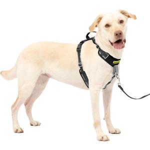 PetSafe Easy Walk Comfort No-Pull Dog Harness Full-Body Padding - Better Walks on The First Use - 5 Points of Adjustment Large, Black