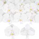 White Orchid Flower Heads,30PCS Silk Faux Phalaenopsis Orchid Heads with Pearl for Wedding Cake Topper DIY Crafts Hair Accessories Party Home Decor (White)