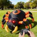 JOYIN, 4FT Long, Spider