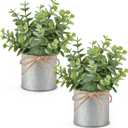 Mkono 2 Packs Small Fake Plants in Farmhouse Galvanized Pots Table Centerpiece Mini Faux Eucalyptus Potted Artificial Plants for Bathroom Shelf Room Rustic Home Decor