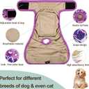 Female Dog Diapers - Premium Reusable Diapers for Doggie in Heat - Highly Absorbent for Pet Incontinence with Adjustable Snaps Butterfly, L