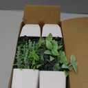 Der Rose 4 Pack Fake Plants Mini Artificial Greenery Potted Plants for Home Decor Indoor Office Table Room Farmhouse Bathroom Decor (Grey)