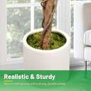 5FT Olive Trees Artificial Faux Olive Tree with White Planter Wood Trunk
