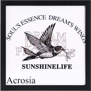 13"X13" T-Shirt Frame for Wall Or Tabletop Stand Display,Wood Tshirt Display Case Frames,Sports Jerseys Shadow Box for Shirts,Memorabilia,Picture (Black)