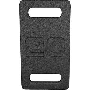 Cast Iron Plate, Weighted Plate for Swings, Squat, Strength Training, Fitness Workout, and Home Exercises, 20-Pound
