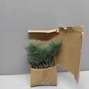 Artificial Green Pine Needles Branches Fake Small Pine Twigs Stems Evergreen Picks Holiday Tree Decorations
