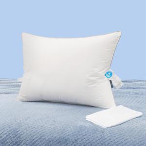 Natural Goose Down Pillows: Luxury Hotel Bed Pillow with 750 Fill Power, White Goose Down Sleeping Pillow with Pillowcase, Soft Pillow for Back, Side, Stomach Sleepers - 1 Pack, Queen (20" x 30")