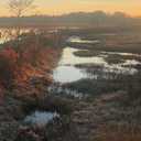 Unfolding Light: Poems