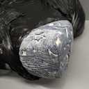 Comfy Toddler Couch and Chair for Kids with Blanket, 2-in-1 Soft Plush Fold Out Kids Sofa Chairs for Girls and Boys, Convertible Sofa to Lounger for Playroom, Glowing Starry Sky (Blue)