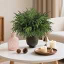 12Pcs Realistic Norfolk Pine Branches -18Inch Artificial Real Touch Christmas Pine Stems Picks Greenery Fake Cedar Pine Branch for Vase DIY Crafts, Xmas Indoor Outdoor Home Decor