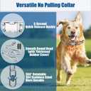 Adjustable Stainless Steel No Pull Dog Collar with Quick-Release Buckle,Tangle-Free 360 Swivel Prong Collar for Dogs (M-L)