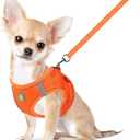 FEimaX Dog Harness and Leash Set, No Pull Breathable Soft Mesh Puppy Vest Harness Reflective Adjustable Pet Harnesses for Small Medium Dogs and Cats - Outdoor Easy Control for Walking, XS