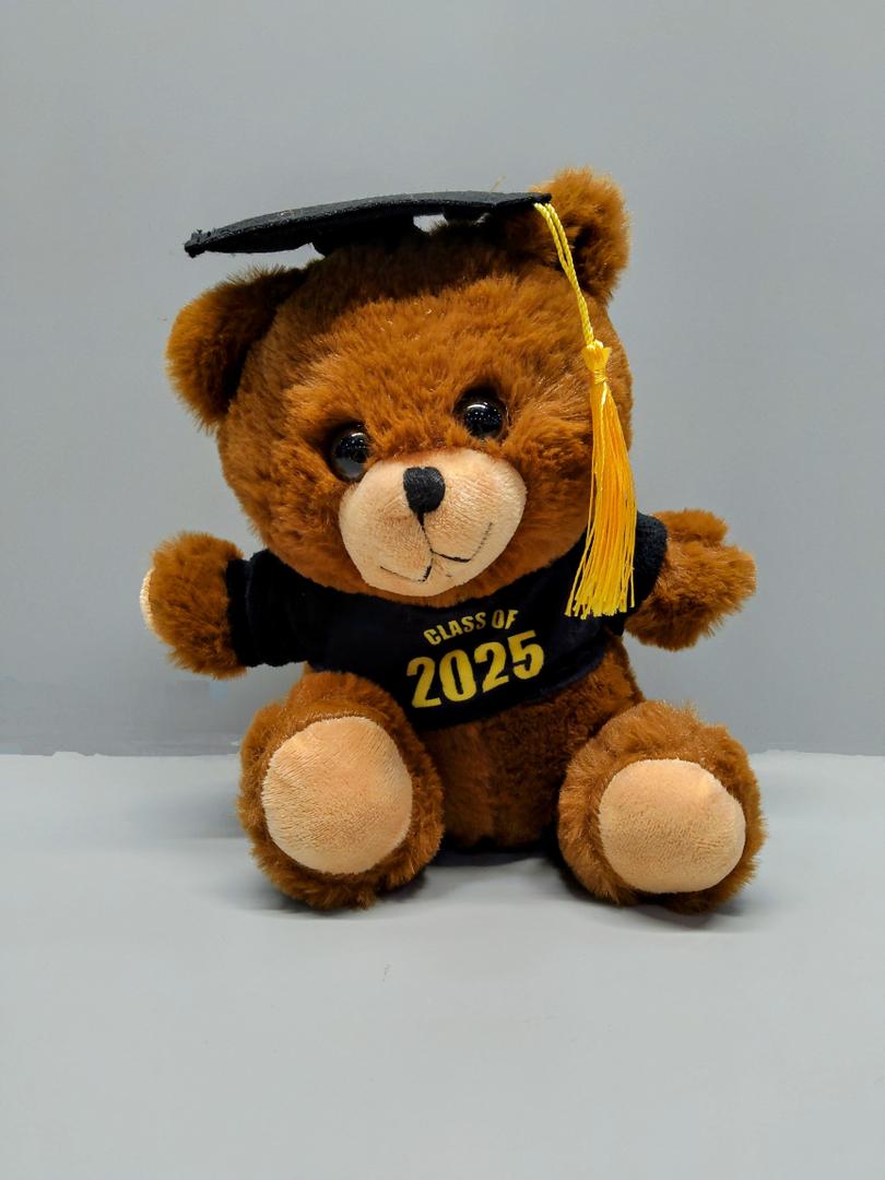 Graduation Teddy Bear 2025 – Plush Bear with Cap & Gown – Class of 2025 Gift for Graduates – Soft Stuffed Animal Keepsake for High School, College, or Kindergarten Graduation