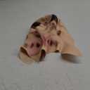 Alien Mask Full Head Latex for Adults, Realistic Extraterrestrial Costume with Scary Details for UFO Halloween Party Encounter