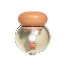 Phanpy E-Joy Electric Wearable Breast Pump Hands Free Portable Breast Pump 20 mm &amp; 24 mm Flange