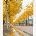 Golden State Art, Solid Wood 16x20 Wooden Picture Frame - for 16x20 Photos, 1-1/4-Inch Wide with Real Glass - Horizontal and Vertical Wall Display, Great for Engagement, Wedding, White, 1 Pack