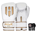 Hawk Sports Boxing Gloves for Men and Women, Comfy Boxing Training Gloves with Foam Padding for Throwing Power Punches with Confidence, Heavy Bag Boxing Gloves for Training and Sparring 12.OZ