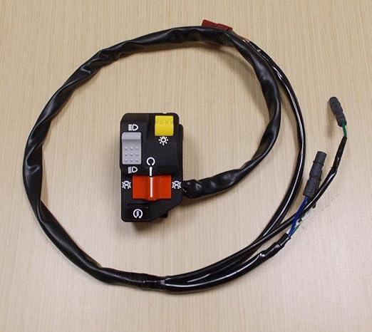 2002-2004 Honda TRX 250 TRX250 Recon Foot Shift Start Kill Light Switch