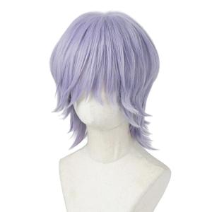 Short Purple Wig Cosplay Costume Wig Anime Halloween Wig (silvery White),9.92 x 7.83 x 1.89 in