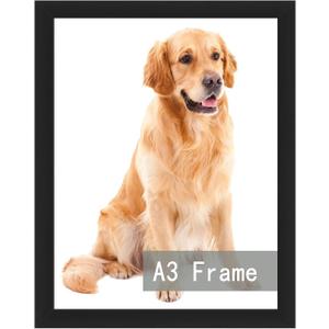 RUN HELIX A3 Picture Frame Black for Wall Hanging, Wall Mounting Horizontally or Vertically, 11.7 x 16.5 inch Wall Gallery Poster Photo Frame with Durable Shatter Resistant Plexiglass, Black