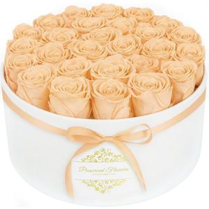 27 Forever Flowers in a Luxury Suede Box, Preserved Roses Birthday Gifts for Women, Romantic Anniversary Wedding Gifts for Women Her Girlfriend Wife, Champagne