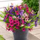 12 Bundles Artificial Flowers Outdoor Silk Fake Plants UV Resistant Faux Plastic Greenery Shrubs for Home Outside Garden Front Porch Window Box Pot Planters Decor (Mix Color)