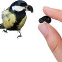 Xmenha Small Mini One Ear Invisible Earbuds Wireless Bluetooth Single Earbud Invisible Headphones Ear Buds Sleep Smallest Tiny Micro Hidden Discreet Earbuds for Work Sleeping Side Sleeper