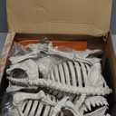 JOYIN 2 PCS 16" Poseable Dog Skeleton Halloween Decoration Animal Puppy Plastic Bones with Posable Joints for Prop Indoor Outdoor Decor Spooky Scene Party Favors Graveyard Decorations