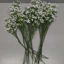 Babys Breath Artificial Flowers,30 Pcs Gypsophila Real Touch Flowers for Wedding Party Home Garden Decoration (16.6inch, White)