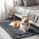 OLANLY 2x3 Machine Washable Small Bedside Rug, Soft Fluffy Shaggy Entryway Throw Rugs for Bedroom, Living Room, Indoor Floor Carpet for Kids Girls and Boys, Nursery Rooms, Home Decor Aesthetic, Grey