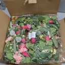 Waipfaru Spring Wreaths for Front Door, 26" Large Spring Summer Easter Wreaths for Front Door with Rose Peony Tulip Magnolia, All Seasons for Indoor Outdoor Farmhouse Home Porch Wall Window Decor (1pcs)