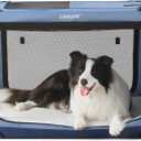 Lesure Collapsible Dog Crate - Portable Travel Kennel for Large Dog, 4-Door Pet Crate with Mesh Windows, Indoor & Outdoor, Blue